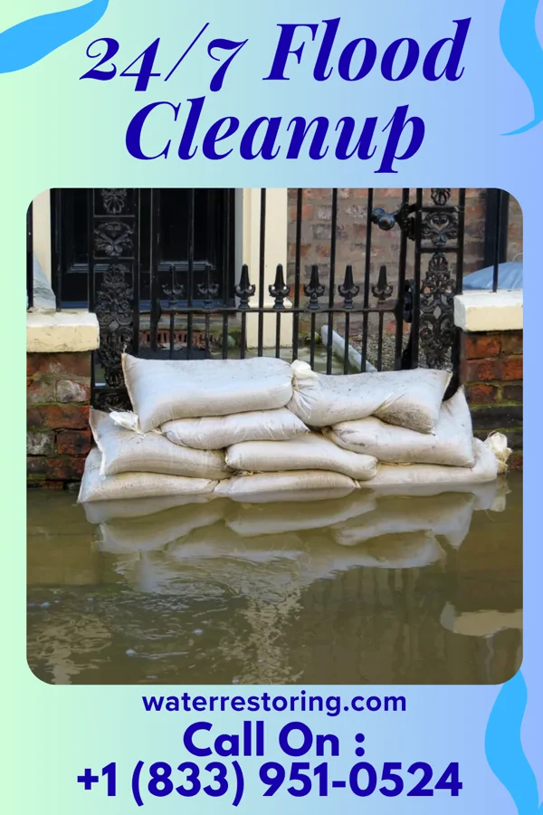 24/7 Flood Cleanup in Findlay, IL