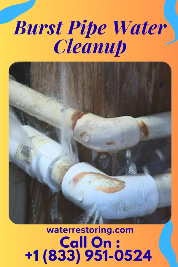 Burst Pipe Water Cleanup in Findlay, IL
