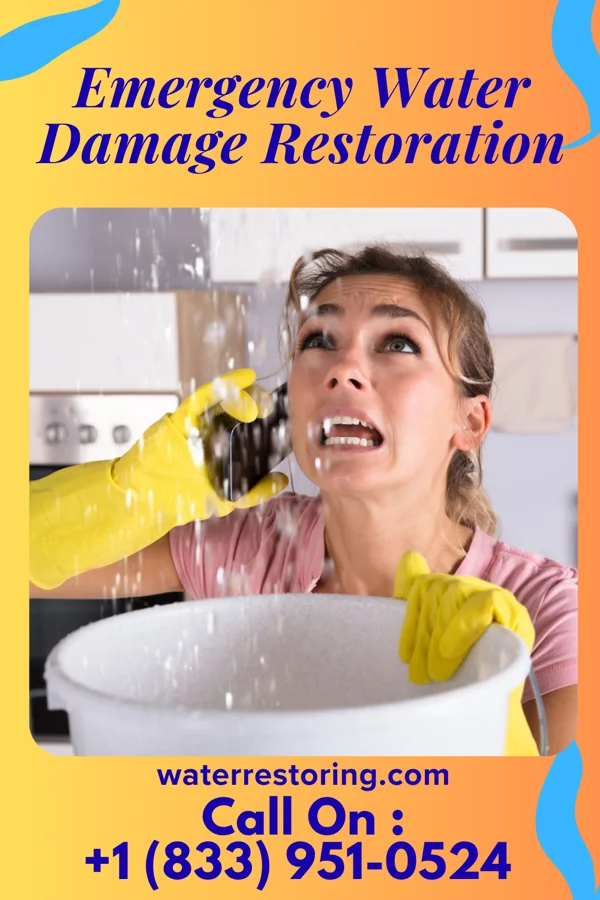 Emergency Water Damage Restoration in Findlay, IL