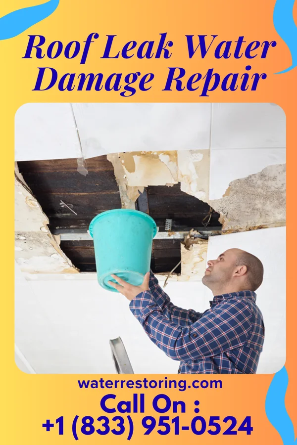 Roof Leak Water Damage Repair in Findlay, IL