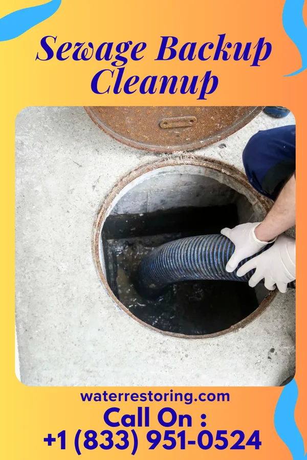 Sewage Backup Cleanup in Findlay, IL